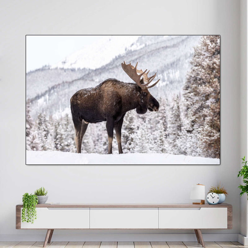 Snowy Moose Wall Art
