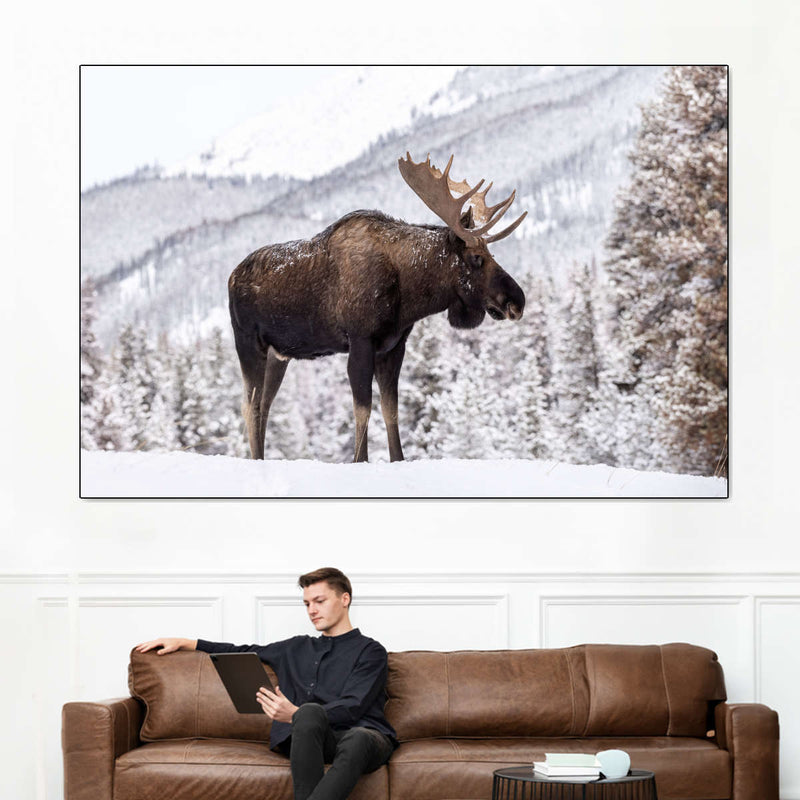 Snowy Moose Wall Art