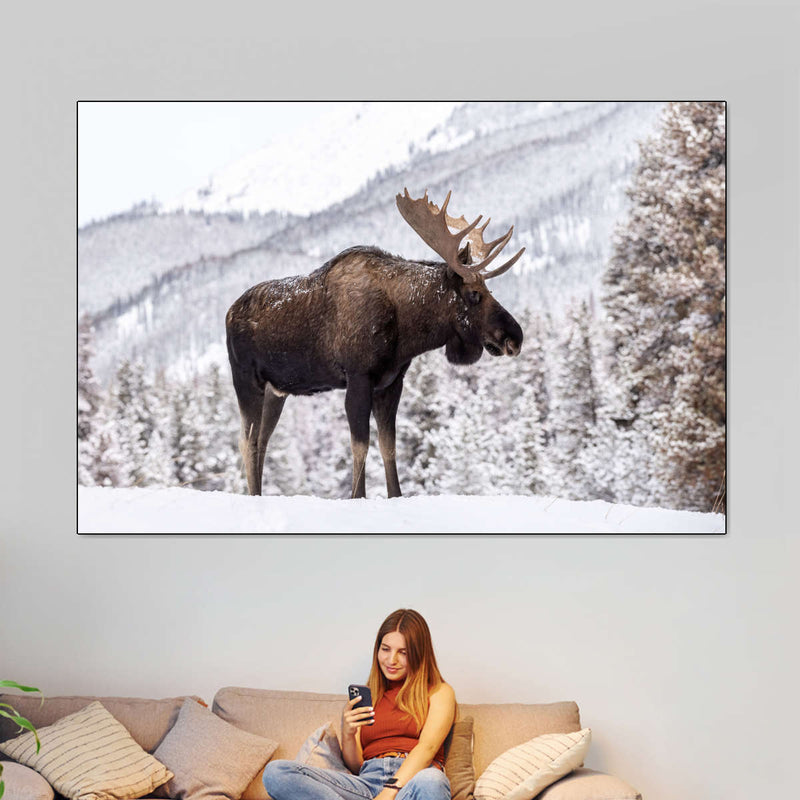 Snowy Moose Wall Art