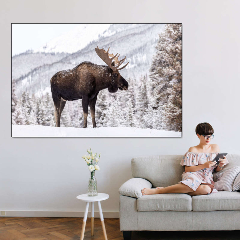 Snowy Moose Wall Art