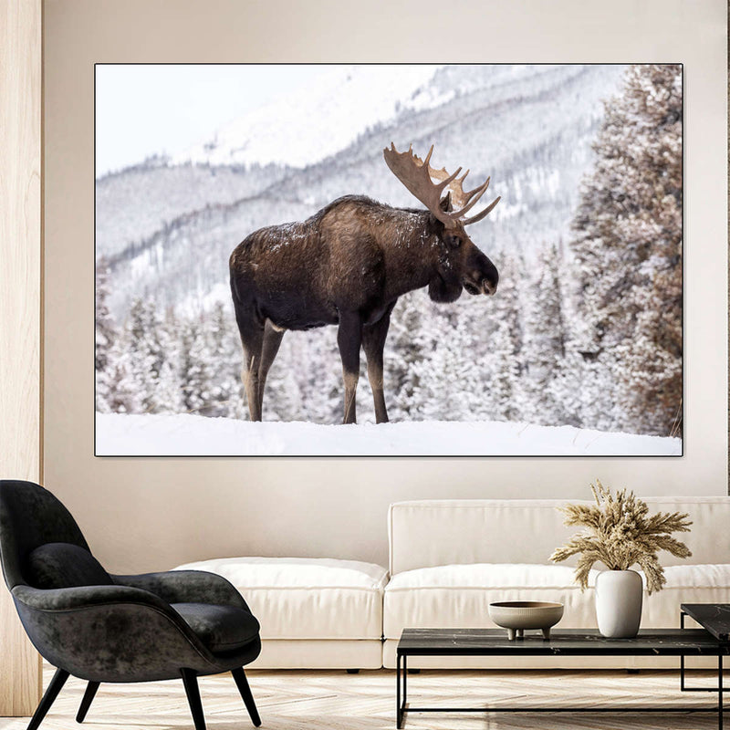 Snowy Moose Wall Art