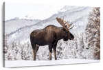 Snowy Moose Wall Art