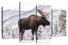 Snowy Moose Wall Art