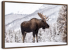 Snowy Moose Wall Art