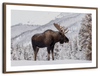 Snowy Moose Wall Art