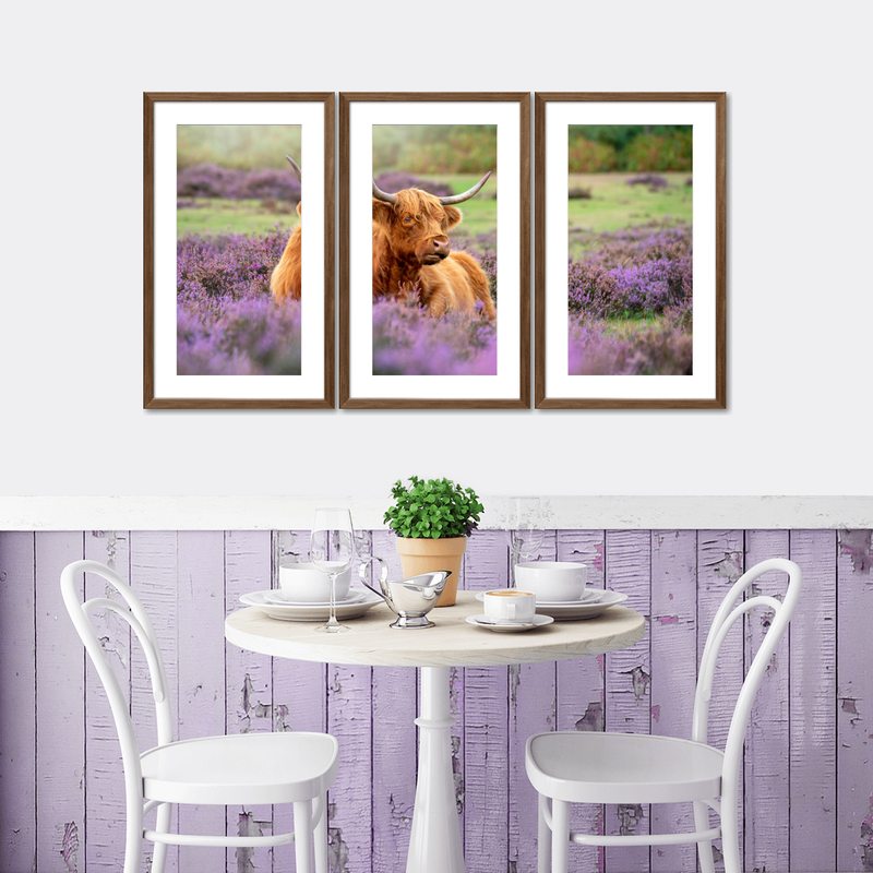 Highland Cow Paradise Wall Art