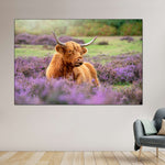 Highland Cow Paradise Wall Art