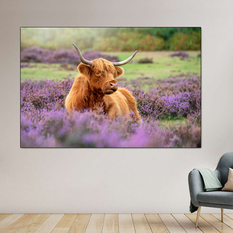 Highland Cow Paradise Wall Art