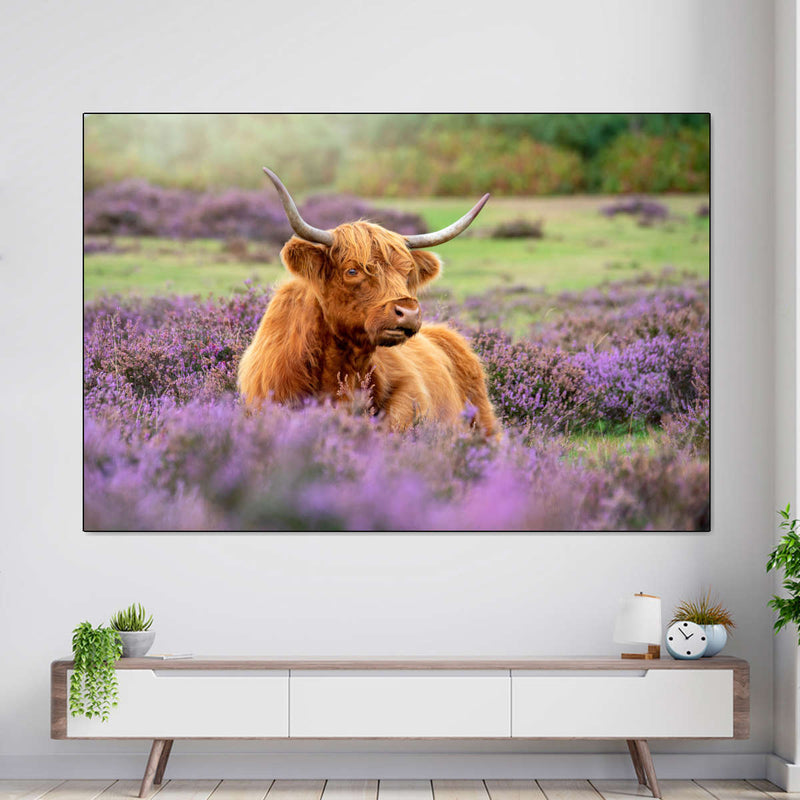 Highland Cow Paradise Wall Art