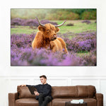 Highland Cow Paradise Wall Art