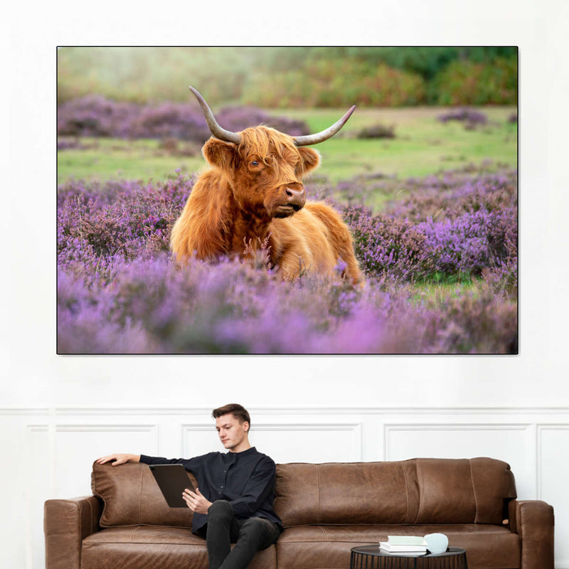 Highland Cow Paradise Wall Art