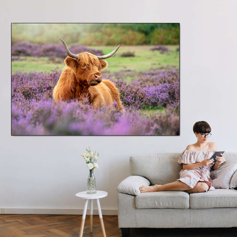Highland Cow Paradise Wall Art