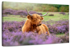 Highland Cow Paradise Wall Art
