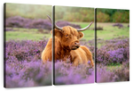 Highland Cow Paradise Wall Art