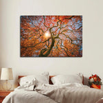Japanese Maple Tree Wall Art