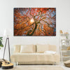 Japanese Maple Tree Wall Art