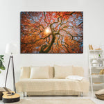 Japanese Maple Tree Wall Art