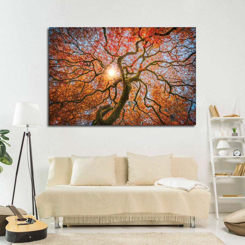 Japanese Maple Tree Wall Art