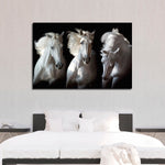 Three White Horses Wall Art