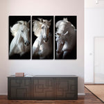 Three White Horses Wall Art