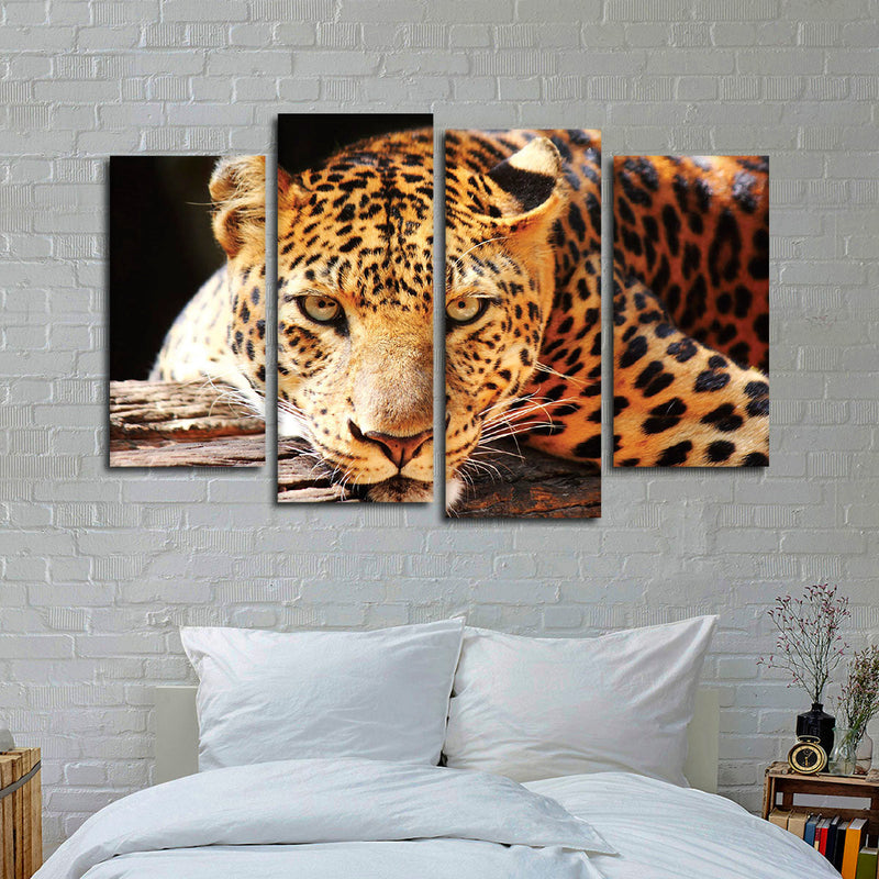 Leopard Gaze Wall Art