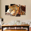 Leopard Gaze Wall Art