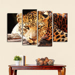 Leopard Gaze Wall Art