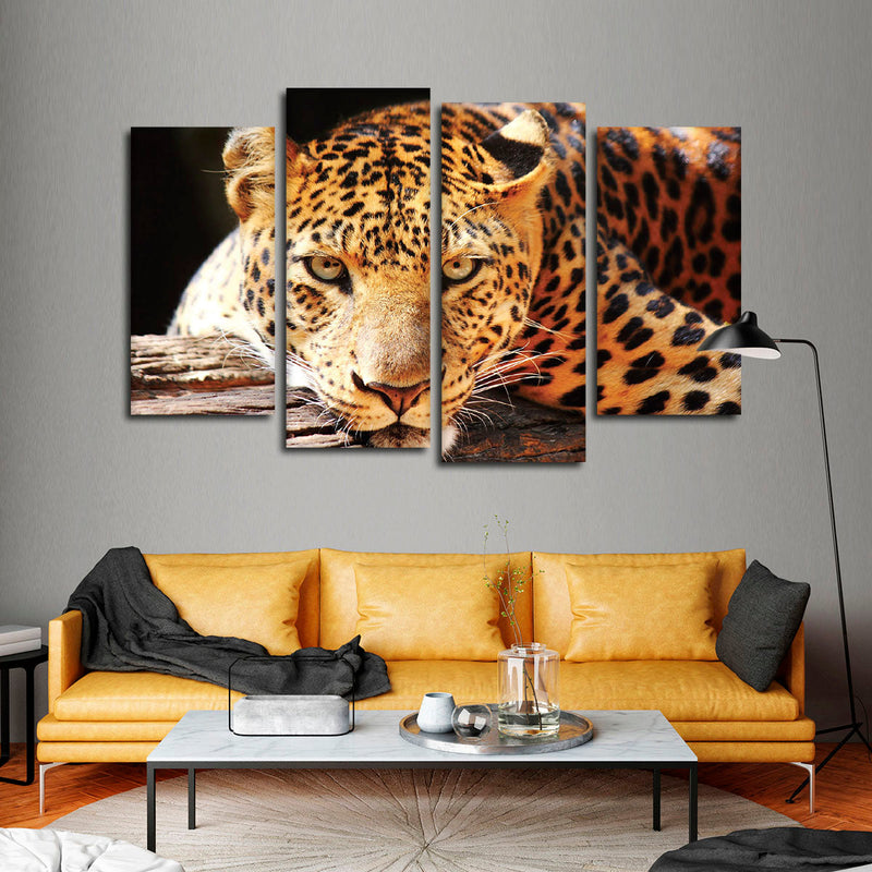 Leopard Gaze Wall Art