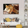 Leopard Gaze Wall Art