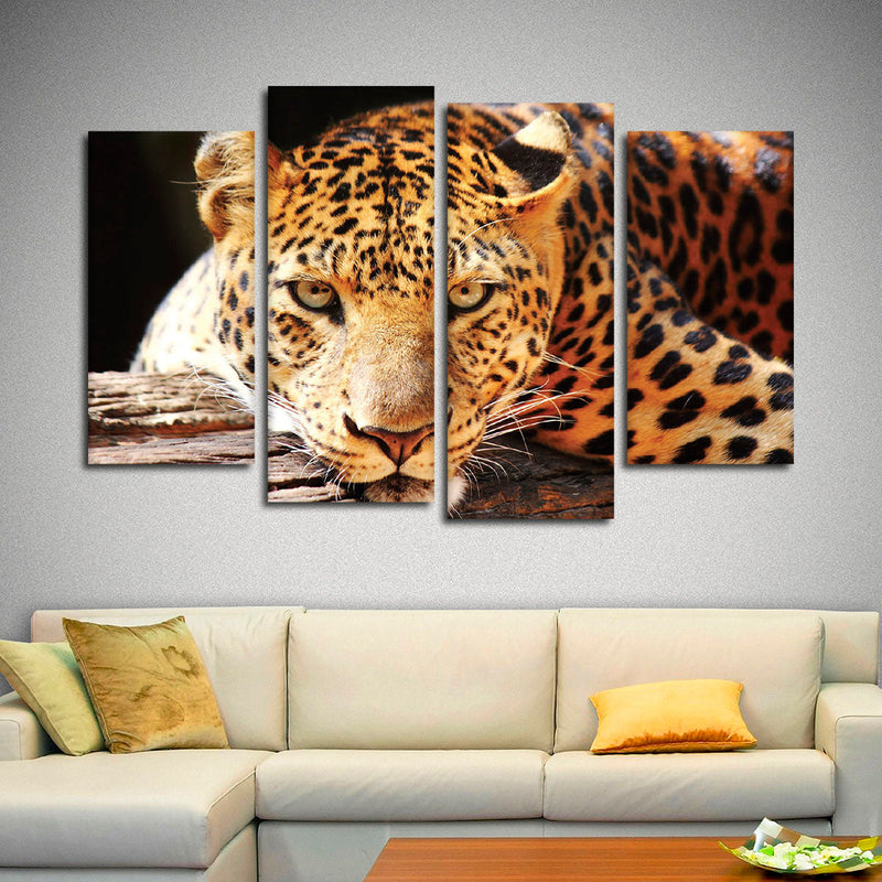 Leopard Gaze Wall Art