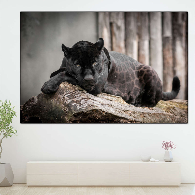 Lounging Black Panther Wall Art