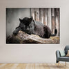 Lounging Black Panther Wall Art