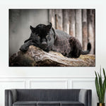 Lounging Black Panther Wall Art
