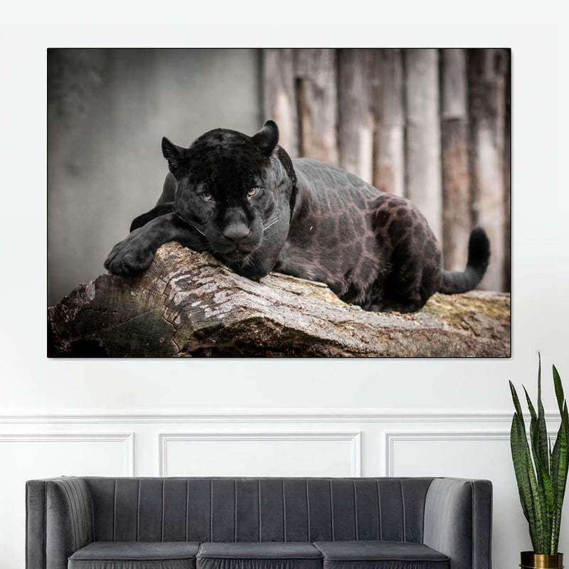 Lounging Black Panther Wall Art