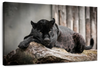 Lounging Black Panther Wall Art