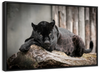 Lounging Black Panther Wall Art