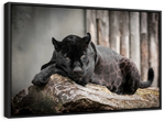 Lounging Black Panther Wall Art
