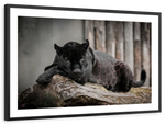 Lounging Black Panther Wall Art