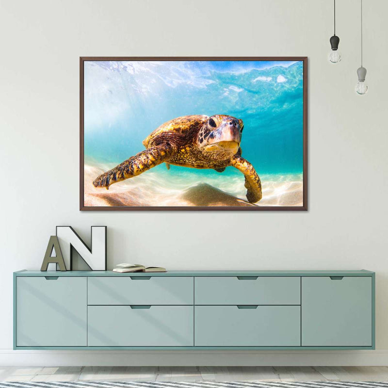 Hawaiian Turtle Wall Art