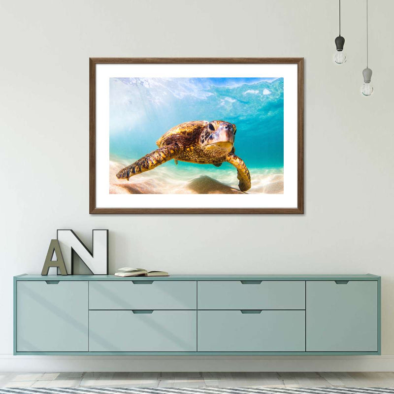 Hawaiian Turtle Wall Art