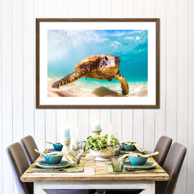 Hawaiian Turtle Wall Art