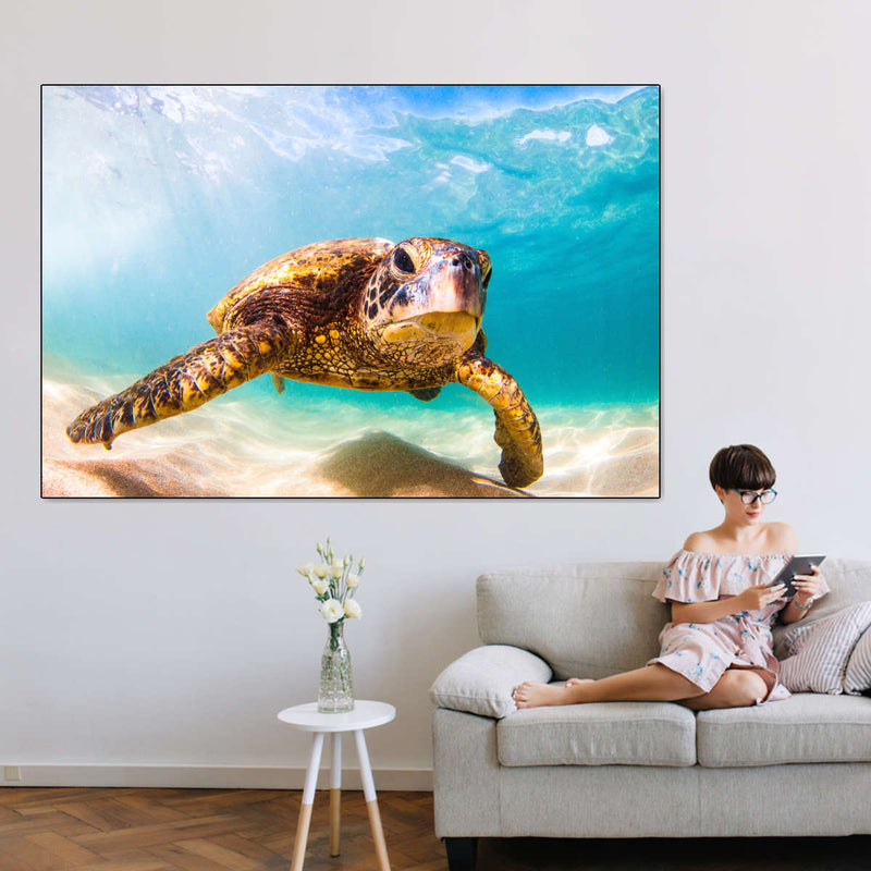 Hawaiian Turtle Wall Art