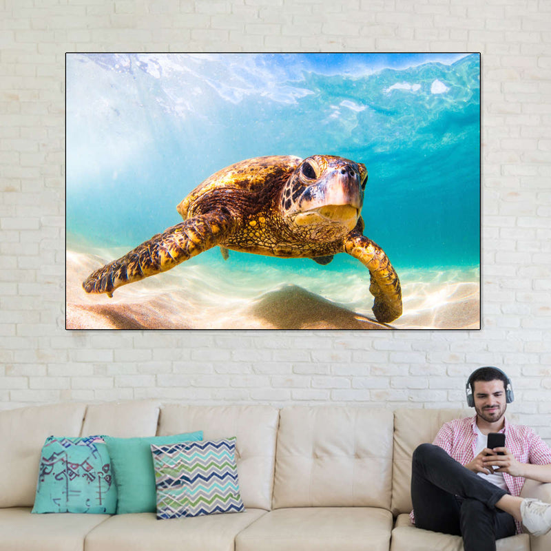 Hawaiian Turtle Wall Art