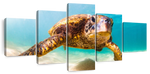 Hawaiian Turtle Wall Art