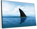 Shark Fin Wall Art
