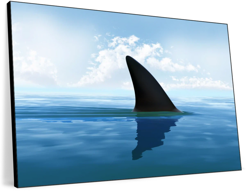 Shark Fin Wall Art