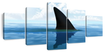 Shark Fin Wall Art