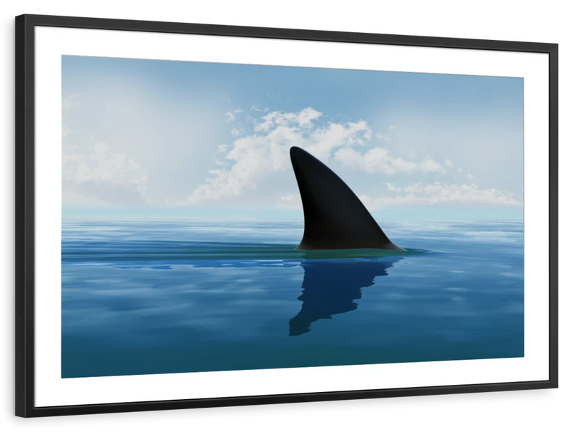 Shark Fin Wall Art