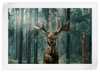 Wild Forest Moose Wall Art