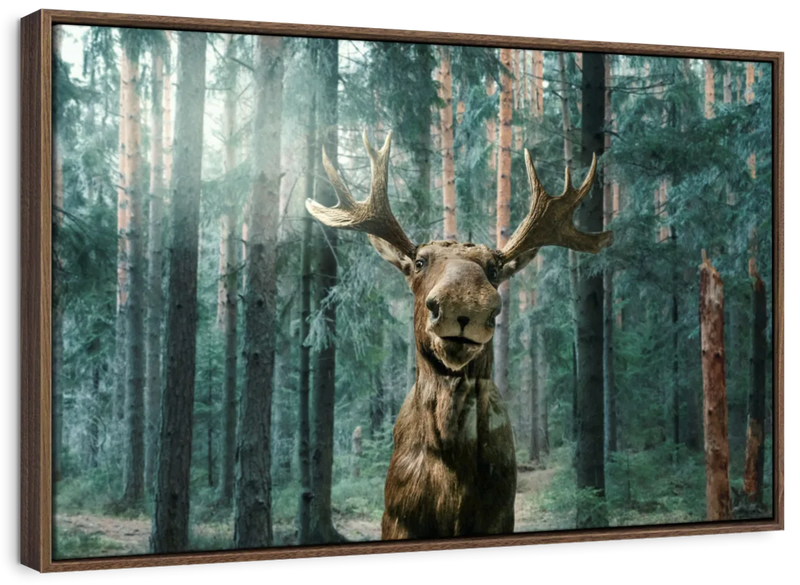 Wild Forest Moose Wall Art